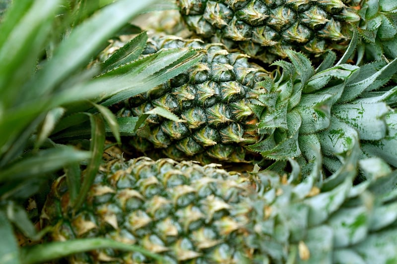 Organic Selection